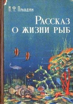 Иван Правдин - Рассказ о жизни рыб - Читать 📖 Читать онлайн 👀 Читаемые книги читать онлайн бесплатно 🔥 booksread-online.com