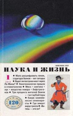 Мария Зверева - Счётчик клеточного времени - Читать 📖 Читать онлайн 👀 Читаемые книги читать онлайн бесплатно 🔥 booksread-online.com