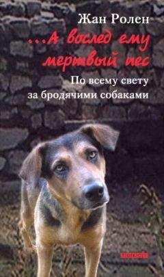 Жан Ролен - …А вослед ему мертвый пес: По всему свету за бродячими собаками - Читать 📖 Читать онлайн 👀 Читаемые книги читать онлайн бесплатно 🔥 booksread-online.com