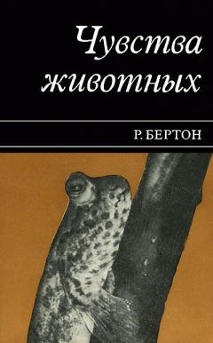 Роберт Бертон - Чувства животных - Читать | Читать онлайн | Читаемые книги читать онлайн бесплатно | booksread-online.com