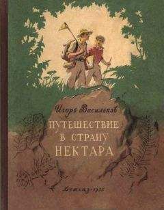 Игорь Васильков - Путешествие в страну нектара - Читать 📖 Читать онлайн 👀 Читаемые книги читать онлайн бесплатно 🔥 booksread-online.com