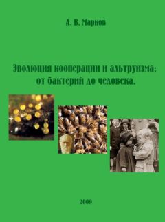 Александр Марков - Эволюция кооперации и альтруизма: от бактерий до человека - Читать 📖 Читать онлайн 👀 Читаемые книги читать онлайн бесплатно 🔥 booksread-online.com