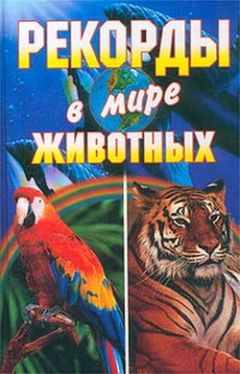 Галина Гальперина - Рекорды в мире животных - Читать 📖 Читать онлайн 👀 Читаемые книги читать онлайн бесплатно 🔥 booksread-online.com