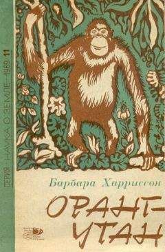 Барбара Харриссон - Оранг-утан - Читать 📖 Читать онлайн 👀 Читаемые книги читать онлайн бесплатно 🔥 booksread-online.com