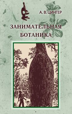 Александр Цингер - Занимательная ботаника - Читать 📖 Читать онлайн 👀 Читаемые книги читать онлайн бесплатно 🔥 booksread-online.com