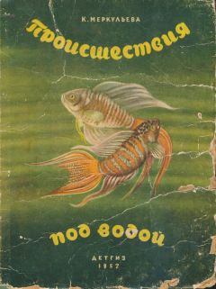Ксения Меркульева - Происшествия под водой - Читать 📖 Читать онлайн 👀 Читаемые книги читать онлайн бесплатно 🔥 booksread-online.com