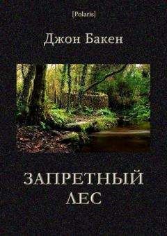 Джон Бакен - Запретный лес - Читать | Читать онлайн | Читаемые книги читать онлайн бесплатно | booksread-online.com