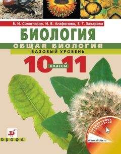 Екатерина Захарова - Биология. Общая биология. Базовый уровень. Учебник для 10–11 класс - Читать 📖 Читать онлайн 👀 Читаемые книги читать онлайн бесплатно 🔥 booksread-online.com