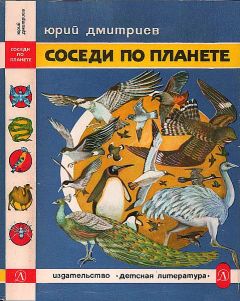 Юрий Дмитриев - Соседи по планете: Птицы - Читать 📖 Читать онлайн 👀 Читаемые книги читать онлайн бесплатно 🔥 booksread-online.com