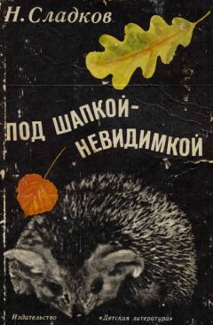 Николай Сладков - Под шапкой-невидимкой - Читать 📖 Читать онлайн 👀 Читаемые книги читать онлайн бесплатно 🔥 booksread-online.com