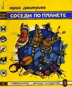 Юрий Дмитриев - Соседи по планете Насекомые - Читать 📖 Читать онлайн 👀 Читаемые книги читать онлайн бесплатно 🔥 booksread-online.com
