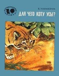 Виталий Танасийчук - Для чего коту усы? - Читать 📖 Читать онлайн 👀 Читаемые книги читать онлайн бесплатно 🔥 booksread-online.com