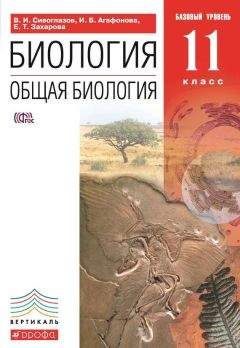 Екатерина Захарова - Биология. Общая биология. 11 класс. Базовый уровень - Читать 📖 Читать онлайн 👀 Читаемые книги читать онлайн бесплатно 🔥 booksread-online.com