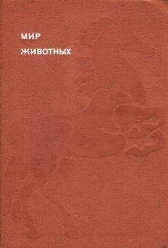 Игорь Акимушкин - Мир животных. Домашние животные - Читать 📖 Читать онлайн 👀 Читаемые книги читать онлайн бесплатно 🔥 booksread-online.com