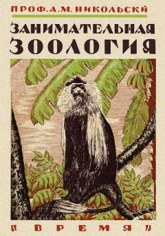 Александр Никольский - Занимательная зоология - Читать 📖 Читать онлайн 👀 Читаемые книги читать онлайн бесплатно 🔥 booksread-online.com