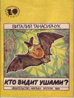 Виталий Танасийчук - Кто видит ушами? - Читать 📖 Читать онлайн 👀 Читаемые книги читать онлайн бесплатно 🔥 booksread-online.com