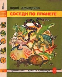 Юрий Дмитриев - Соседи по планете Земноводные и пресмыкающиеся - Читать 📖 Читать онлайн 👀 Читаемые книги читать онлайн бесплатно 🔥 booksread-online.com