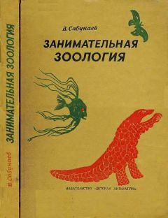 Виктор Сабунаев - Занимательная зоология - Читать 📖 Читать онлайн 👀 Читаемые книги читать онлайн бесплатно 🔥 booksread-online.com