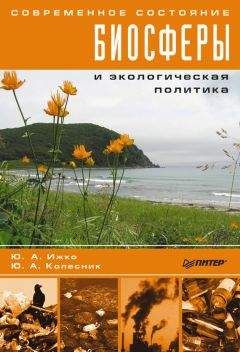 Ю. Колесник - Современное состояние биосферы и экологическая политика - Читать 📖 Читать онлайн 👀 Читаемые книги читать онлайн бесплатно 🔥 booksread-online.com