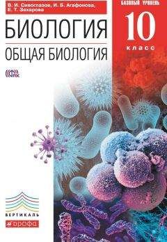 Екатерина Захарова - Биология. Общая биология. 10 класс. Базовый уровень - Читать | Читать онлайн | Читаемые книги читать онлайн бесплатно | booksread-online.com