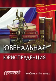 Коллектив авторов - Ювенальная юриспруденция. Том 3 - Читать | Читать онлайн | Читаемые книги читать онлайн бесплатно | booksread-online.com