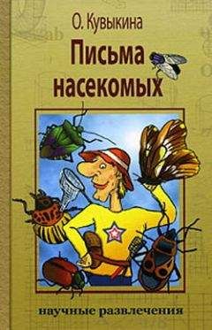 Ольга Кувыкина - Письма насекомых - Читать 📖 Читать онлайн 👀 Читаемые книги читать онлайн бесплатно 🔥 booksread-online.com