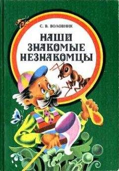 Семен Воловник - Наши знакомые незнакомцы - Читать 📖 Читать онлайн 👀 Читаемые книги читать онлайн бесплатно 🔥 booksread-online.com