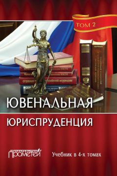 Коллектив авторов - Ювенальная юриспруденция. Том 2 - Читать 📖 Читать онлайн 👀 Читаемые книги читать онлайн бесплатно 🔥 booksread-online.com