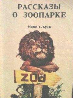 Марио Буиде - Рассказы о зоопарке - Читать | Читать онлайн | Читаемые книги читать онлайн бесплатно | booksread-online.com