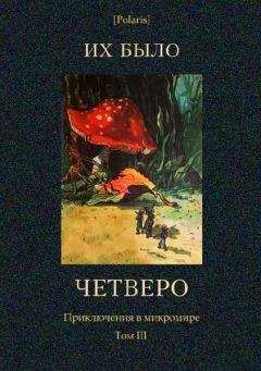 П. Гордашевский - Их было четверо. Приключения в микромире. Том III - Читать 📖 Читать онлайн 👀 Читаемые книги читать онлайн бесплатно 🔥 booksread-online.com