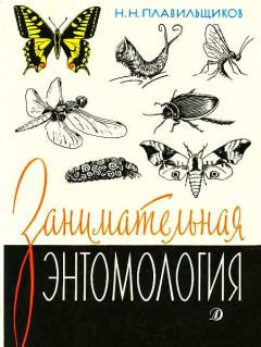 Николай Плавильщиков - Занимательная энтимология - Читать 📖 Читать онлайн 👀 Читаемые книги читать онлайн бесплатно 🔥 booksread-online.com