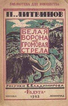 Павел Литвинов - Громовая стрела - Читать 📖 Читать онлайн 👀 Читаемые книги читать онлайн бесплатно 🔥 booksread-online.com