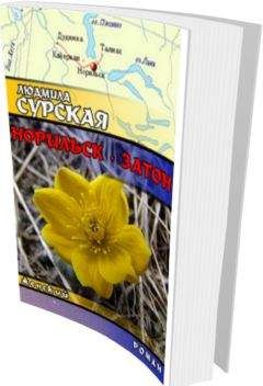 Людмила Сурская - Норильск - Затон - Читать 📖 Читать онлайн 👀 Читаемые книги читать онлайн бесплатно 🔥 booksread-online.com