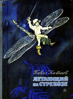 Павел Катаев - Летающий на стрекозе - Читать 📖 Читать онлайн 👀 Читаемые книги читать онлайн бесплатно 🔥 booksread-online.com