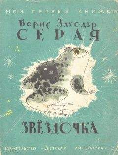 Борис Заходер - Серая звездочка - Читать 📖 Читать онлайн 👀 Читаемые книги читать онлайн бесплатно 🔥 booksread-online.com