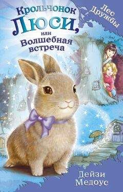 Дейзи Медоус - Крольчонок Люси, или Волшебная встреча - Читать 📖 Читать онлайн 👀 Читаемые книги читать онлайн бесплатно 🔥 booksread-online.com