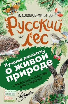 Иван Соколов-Микитов - Русский лес. С вопросами и ответами для почемучек - Читать 📖 Читать онлайн 👀 Читаемые книги читать онлайн бесплатно 🔥 booksread-online.com