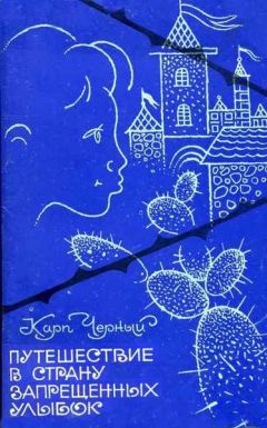 Карп Черный - Путешествие в Страну Запрещенных Улыбок - Читать | Читать онлайн | Читаемые книги читать онлайн бесплатно | booksread-online.com