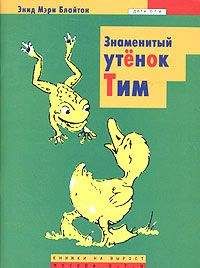 Энид Блайтон - Знаменитый утенок Тим - Читать 📖 Читать онлайн 👀 Читаемые книги читать онлайн бесплатно 🔥 booksread-online.com
