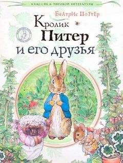 Беатрикс Поттер - Кролик Питер и его друзья - Читать | Читать онлайн | Читаемые книги читать онлайн бесплатно | booksread-online.com