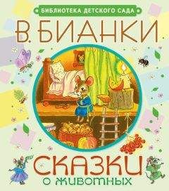 Виталий Бианки - Сказки о животных - Читать 📖 Читать онлайн 👀 Читаемые книги читать онлайн бесплатно 🔥 booksread-online.com