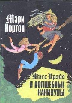 Мэри Нортон - Мисс Прайс и волшебные каникулы - Читать | Читать онлайн | Читаемые книги читать онлайн бесплатно | booksread-online.com