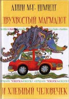 Анни Шмидт - Сказки, только сказки - Читать | Читать онлайн | Читаемые книги читать онлайн бесплатно | booksread-online.com