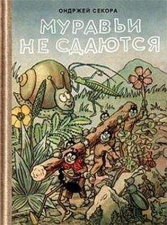 Ондржей Секора - Муравьи не сдаются (с иллюстрациями) - Читать | Читать онлайн | Читаемые книги читать онлайн бесплатно | booksread-online.com