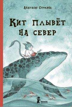 Анастасия Строкина - Кит плывет на север - Читать Читать онлайн Читаемые книги читать онлайн бесплатно booksread-online.com