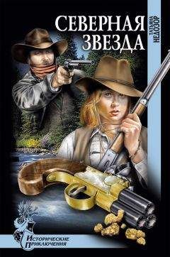 Татьяна Недозор - Северная звезда - Читать 📖 Читать онлайн 👀 Читаемые книги читать онлайн бесплатно 🔥 booksread-online.com