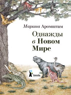 Марина Аромштам - Однажды в Новом Мире - Читать 📖 Читать онлайн 👀 Читаемые книги читать онлайн бесплатно 🔥 booksread-online.com