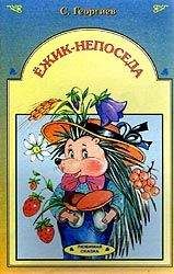 Сергей Георгиев - Ёжик-непоседа - Читать 📖 Читать онлайн 👀 Читаемые книги читать онлайн бесплатно 🔥 booksread-online.com