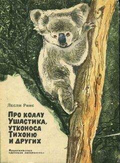 Лесли Риис - Про коалу Ушастика - Читать | Читать онлайн | Читаемые книги читать онлайн бесплатно | booksread-online.com