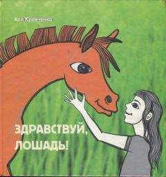 Ася Кравченко - Здравствуй, лошадь! - Читать Читать онлайн Читаемые книги читать онлайн бесплатно booksread-online.com